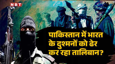 तालिबान से पाकिस्तान में कश्मीरी आतंकियों की हत्या करा रहा भारत... अमेरिकी खुफिया एजेंसी CIA की पूर्व अधिकारी का बड़ा दावा, क्या कहा?