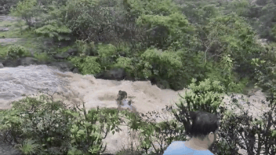 Lonavala Bhushi Dam: लोनावला के भुशी डैम से अचानक आया पानी, बहने से 5 पर्यटकों की मौत, वीडियो देख कांप जाएंगे आप