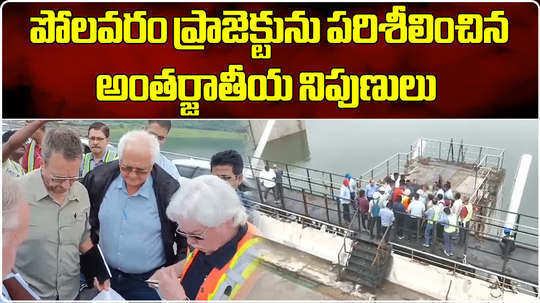 team of foreign experts to visit polavaram project