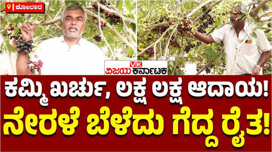 farmer success story kolar farmer earns lakhs of profit by jambu nerale crop