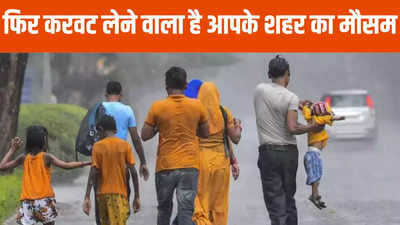 Chhattisgarh Weather Report: सावधान! कई जिलों में झमाझम बारिश, कल से कम हो जाएंगी मानसूनी गतिविधियां