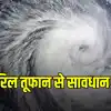 सबसे खतरनाक कैटेगरी 4 में तब्दील हुआ हरिकेन बेरिल, जानें क्या रहेगा US में असर