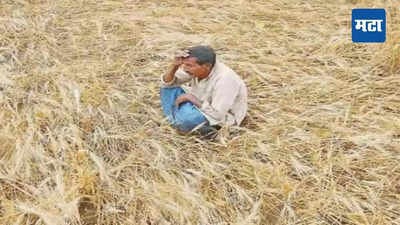 Yavatmal News : विदर्भात ४८ तासांत पाच शेतकरी आत्महत्या, कृषिदिनाच्या पूर्वसंध्येला धक्कादायक माहिती उघड