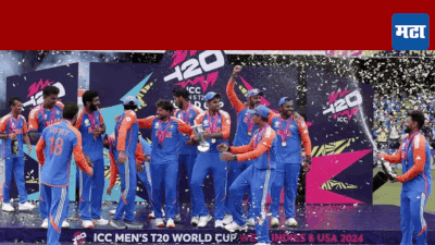 Ind vs SA Final : टीम इंडियाचा थरारक प्रवास पराभवाकडून विजयाकडे...!