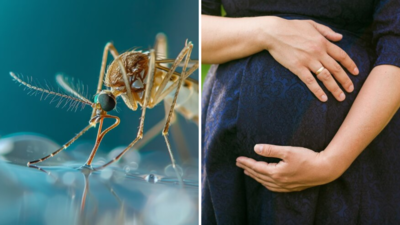Pregnant महिलाएं भी हो रही हैं Zika Virus का शिकार, मां बनने वाली हर महिला इन 5 लक्षणों पर रखें कड़ी नजर
