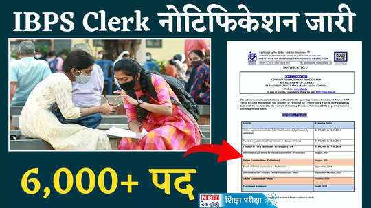 ibps clerk notification 2024 released july 1 with commencement of application process submit online form watch video