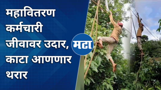 kolhapur mahavitaran employees electricity repair video viral