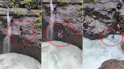 Pune News: भुशी डॅम दुर्घटनेनंतर ताम्हिणी घाटात तरुण वाहून गेला, अंगावर काटा आणणारा VIDEO