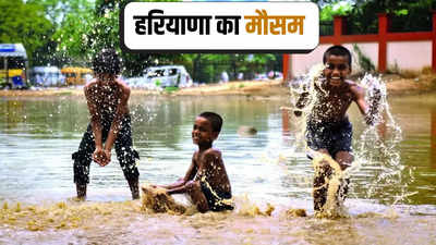 Haryana Monsoon 2024: हरियाणा के कई जिलों में पारा 36 के पार, अब एक्टिव होगा मॉनसून, अगले 4 दिन बारिश के आसार