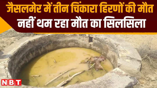 three chinkara deer died in jaisalmer degrai oran know how it happened