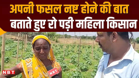 lakhisarai female farmer started crying when antisocial elements destroyed crop