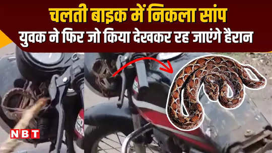 poisonous snake appeared in a moving bike the young man saved his life with this trick watch viral video