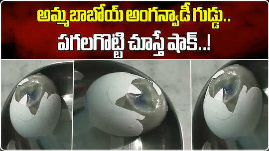 spoiled eggs found in an anganwadi eggs in korutla jagtial district video goes viral