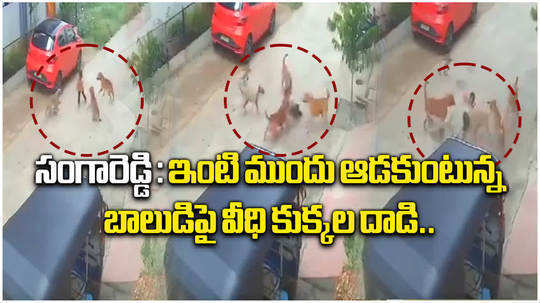 stray dog attack on boy while playing in front of house in sangareddy cctv footage goes viral