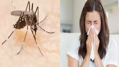 Monsoon Diseases : पावसाळा सुरु होताच आजारांचं डोकं वर, मलेरिया गॅस्ट्रोचे रुग्ण वाढतेच, कशी घ्याल काळजी?
