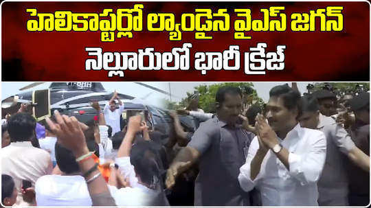 ap ex cm ys jagan grand welcomed by ysrcp leaders and followers in nellore