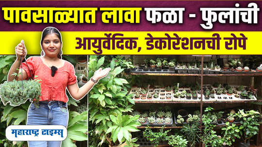 monsoon nursery visit plants shopping