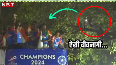 Team India Victory Parade: बंदर की तरह पेड़ पर बैठा था फैन, वर्ल्ड चैंपियन बस के बगल से गुजरते ही लेने लगा फोटोज