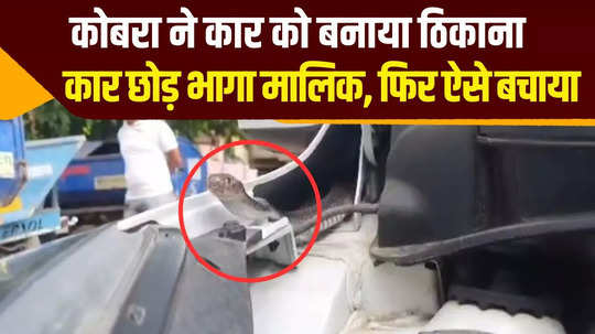 hyundai grand i10 car driver got scared after seeing a snake in the bonnet