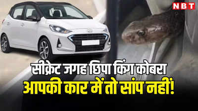 Hyundai Car में छिपा बैठा था जहरीला किंग कोबरा, वीडियो में देखें रेस्क्यू ऑपरेशन, पढ़ें बारिश में क्यों कार में छिपते हैं सांप