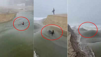 Shocking News: नदीसोबत वाहून थेट समुद्रात गेला, बघता बघता गायब झाला, VIDEO पाहून धडकी भरेल