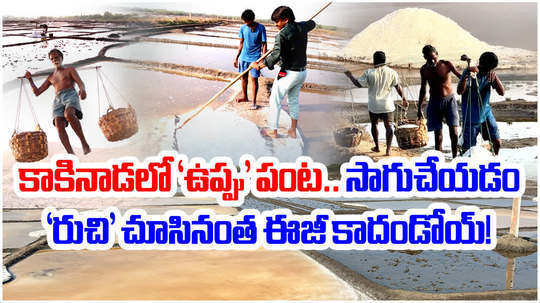 watch salt making process at kakinada sea shore significance and farmers troubles in cultivation