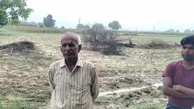 फिरोजाबाद में सास-ससुर और साली के नाम 75 बीघा जमीन बैनामा कर दिया, एसडीएम-नायब तहसीलदार हटाए गए