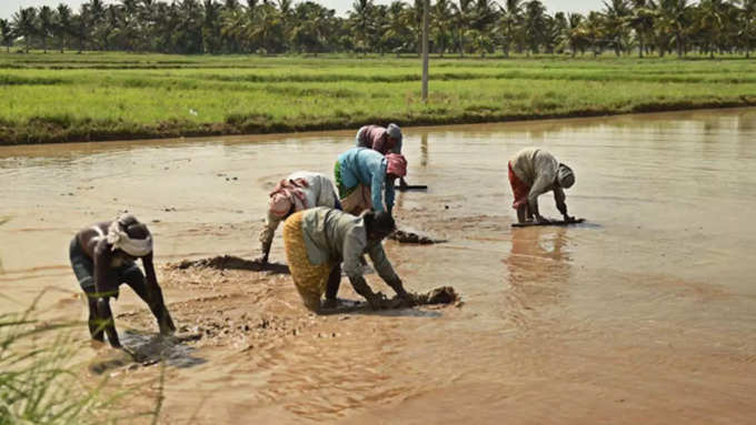 ​காவிரி டெல்டாவில் காத்திருக்கும் விவசாயிகள்