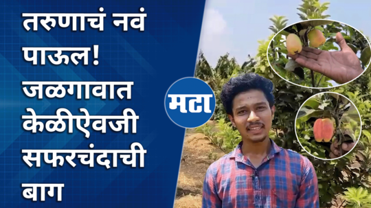 jalgaon ujjwal patil apple farming success story