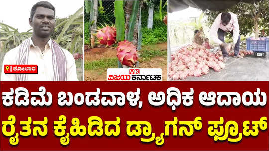 dragon fruit crop kolar srinivaspur farmer success story earning lakhs of rupees