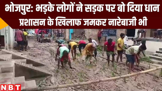 bihar news people cropped paddy on road at bhojpur know reason