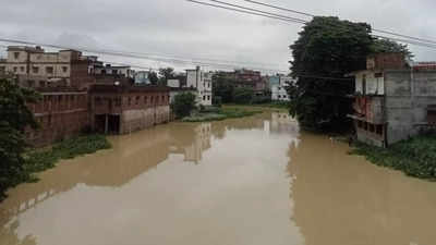 बिहार: सीतामढ़ी में बागमती नदी तीन जगहों पर खतरे के निशान से ऊपर, जिले में बाढ़ के हालात, प्रशासन पूरी तरह अलर्ट