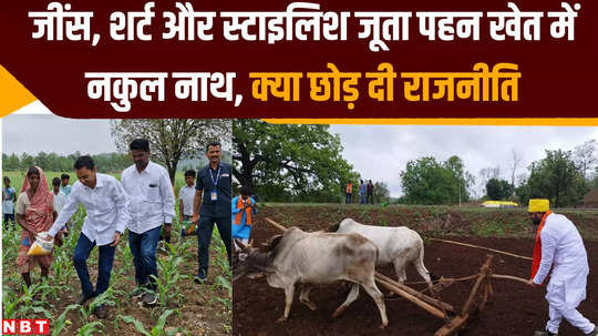 amarwara by poll nakul nath spotted in field applying fertilizer and bunty sahu plowed during election campaign watch video