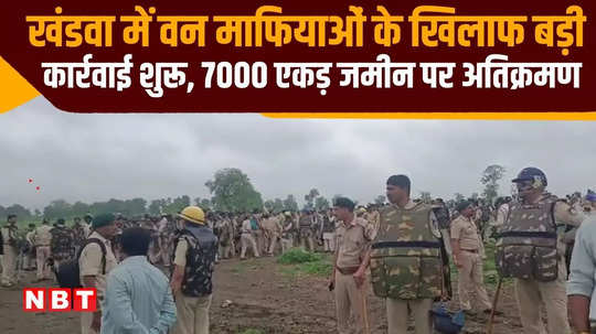 mafia was farming on 7000 acres of forest land in khandwa administration crushed them