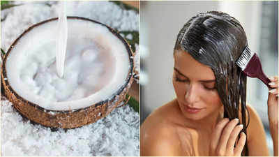 DIY Hair Conditioner: ঘরে তৈরি এই কন্ডিশনার লাগালে চুলের শাইন বাড়বে ৫ মিনিটে! বানানোর পদ্ধতি শিখুন