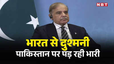 कश्‍मीर पर पाकिस्‍तान की नीति फेल, मुस्लिम देशों ने भी नहीं दिया साथ... पाकिस्‍तानी विशेषज्ञ ने दिखाया आईना, दोस्‍ती की सलाह