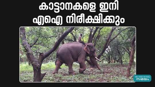 ai camera will now monitor wild animals coming out of the forest from malampuzha