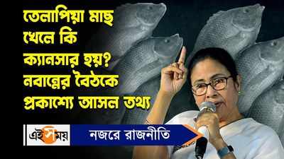 Mamata Banerjee Tilapia Fish Rumours: তেলাপিয়া মাছ খেলে কি ক্যানসার হয়? নবান্নের বৈঠকে প্রকাশ্যে আসল তথ্য