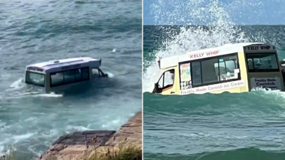 लहरों के आगे नहीं टिक सका आइसक्रीम ट्रक, पर्यटकों ने की बचाने की पूरी कोशिश, डूबते ट्रक का वीडियो वायरल