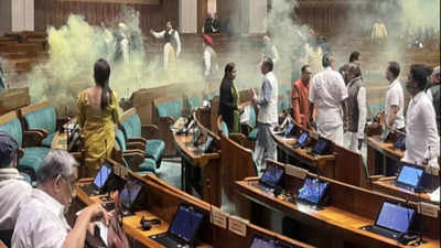 सांसदों के दिमाग से दूर होगी पीले धुएं की दहशत! संसद की पहरेदारी में CISF के 3300 से ज्यादा जवान किए जा रहे तैनात