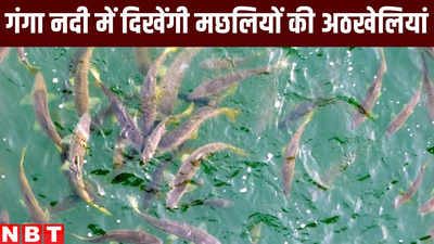 Ganga River News : गंगा में जल्द अठखेलियां करती दिखेंगी लाखों सुंदर-सुंदर मछलियां, नीतीश सरकार ने उठाया बीड़ा