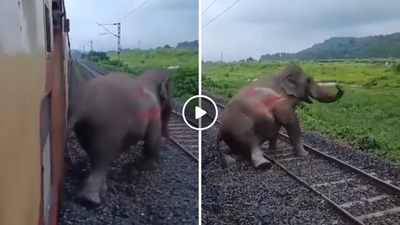 एक्सप्रेस ट्रेन से टकराया हाथी, पहले लड़खड़ाया फिर पटरी पर गिर पड़ा, वीडियो देखकर लोगों की आंखें भर आईं
