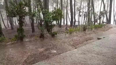 Jharkhand Weather: झारखंड में फिर मॉनसून सक्रिय, रांची समेत कई जिलों में होगी बारिश, जानें अपने जिले में मौसम का हाल