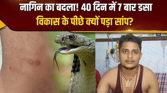 fatehpurs vikas dubey has been bitten by a snake 7 times in 40 days