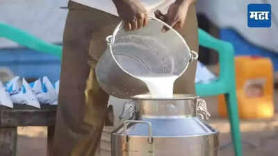 Milk Price : दूध अनुदानाची रक्कम शेतकऱ्यांच्या खात्यात, राधाकृष्ण विखे पाटील यांची माहिती