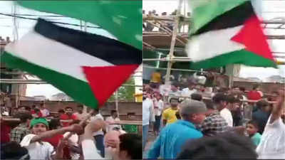 मुहर्रम जुलूस में फिलिस्तीन का झंडा लहराने का मामला, दरभंगा के SSP ने दिए जांच के आदेश