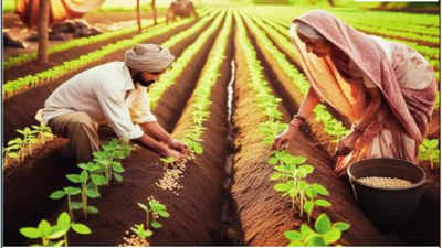 Vidarbha Farmer: सावकारी पाश घट्ट! पश्चिम विदर्भातील ९३ हजार शेतकऱ्यांकडून १२३ कोटींची उचल
