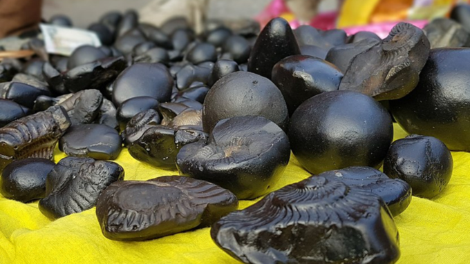 Shaligram