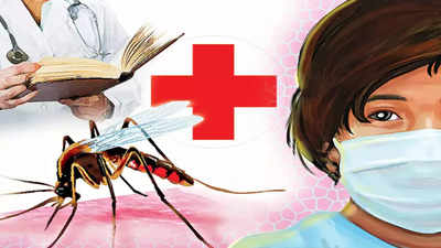 Jharkhand Dengue News : झारखंड में पांव पसार रहा डेंगू-मलेरिया, 76 मरीजों में मिला वायरस