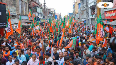 BJP West Bengal : কেন অব্যাহত বিপর্যয়? উত্তরের খোঁজে বিজেপি